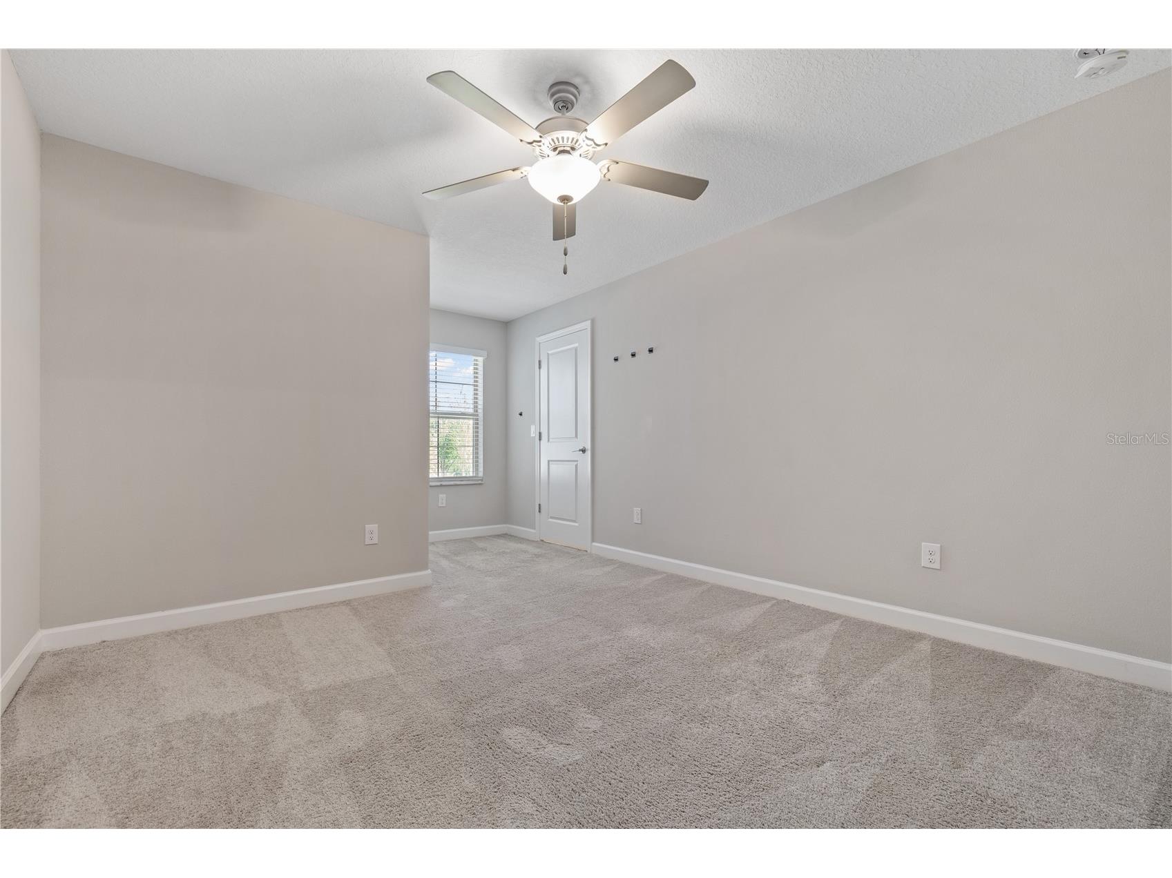 1295 White Fox Run Lutz FL 33549 TB8506695 image22