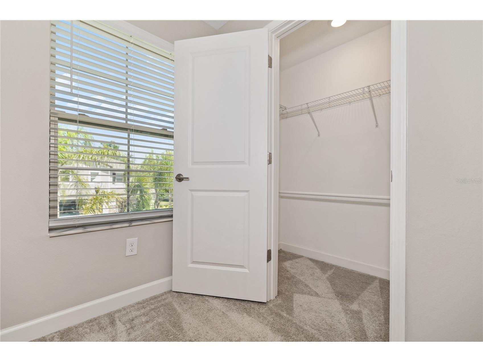 1295 White Fox Run Lutz FL 33549 TB8506695 image23