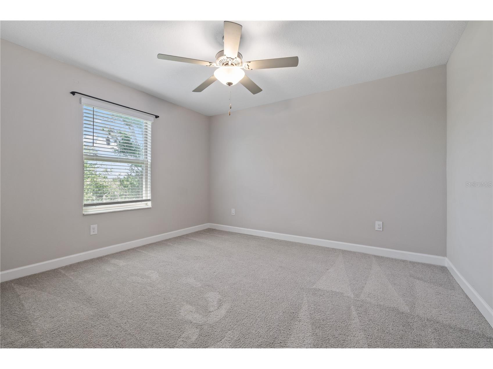 1295 White Fox Run Lutz FL 33549 TB8506695 image26