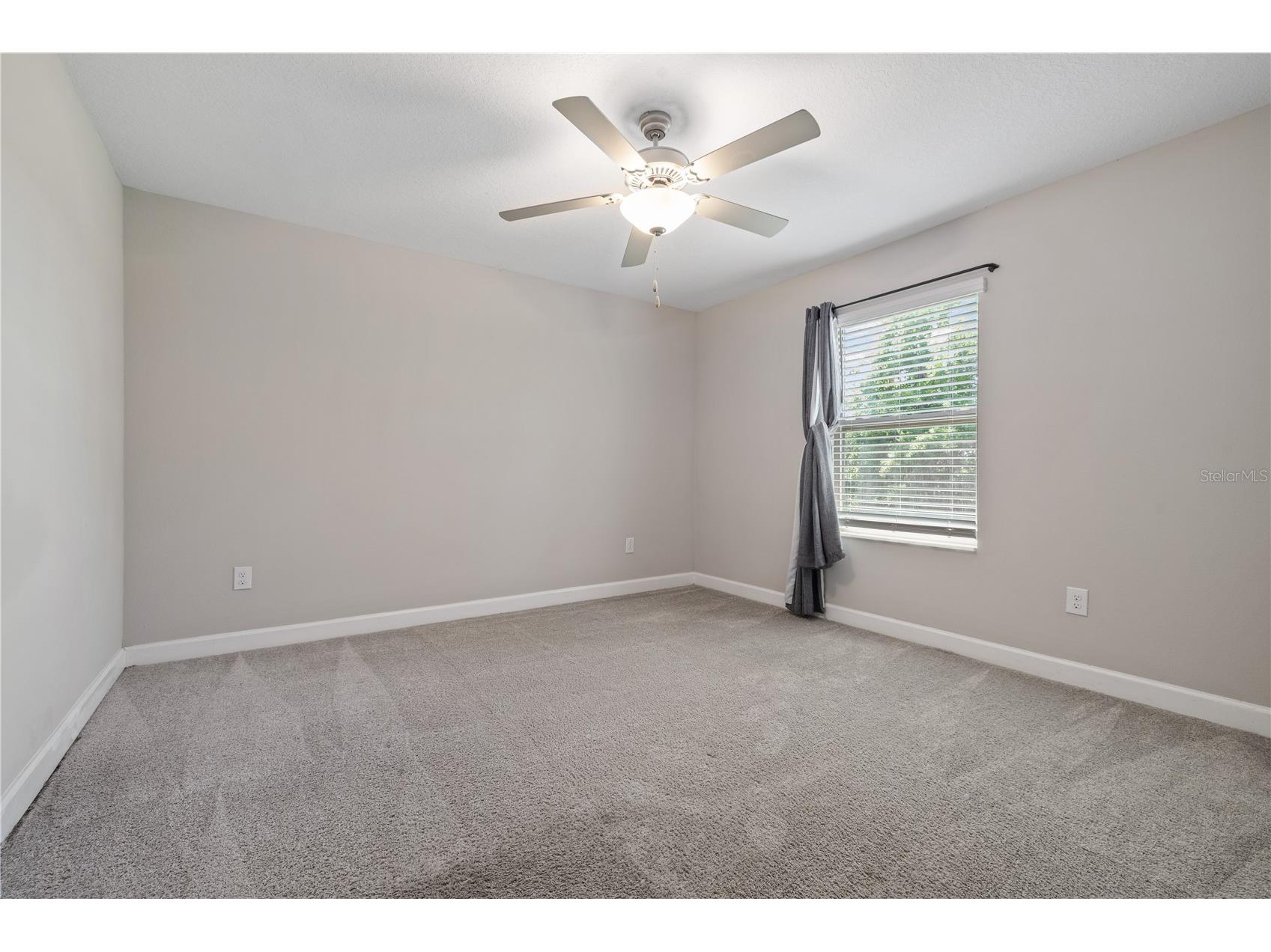 1295 White Fox Run Lutz FL 33549 TB8506695 image29