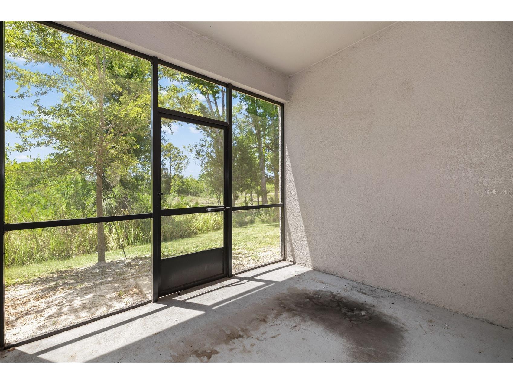 1295 White Fox Run Lutz FL 33549 TB8506695 image32