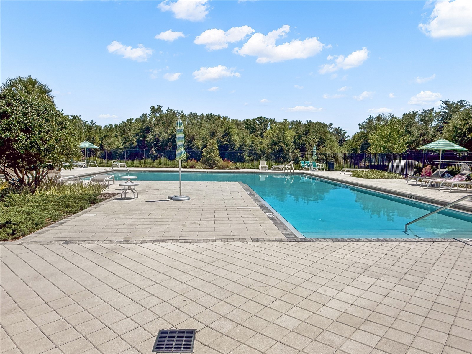 1295 White Fox Run Lutz FL 33549 TB8506695 image36