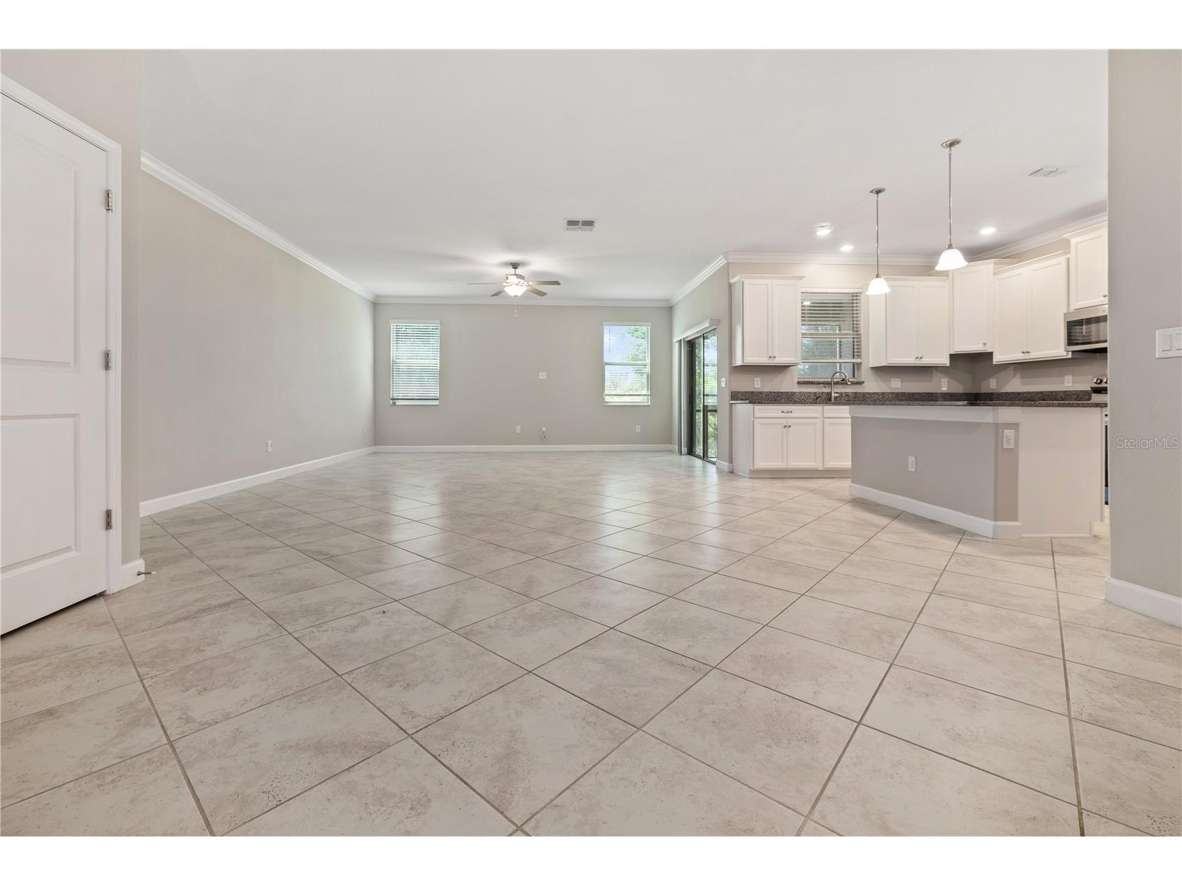 1295 White Fox Run Lutz FL 33549 TB8506695 image4