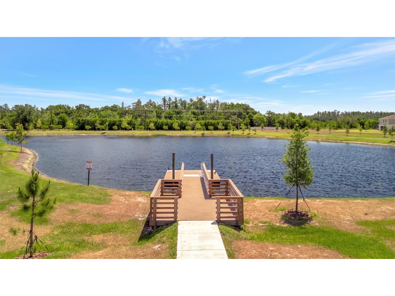 12950 Pasture Woods Place Lithia FL 33547 TB8437975 image11