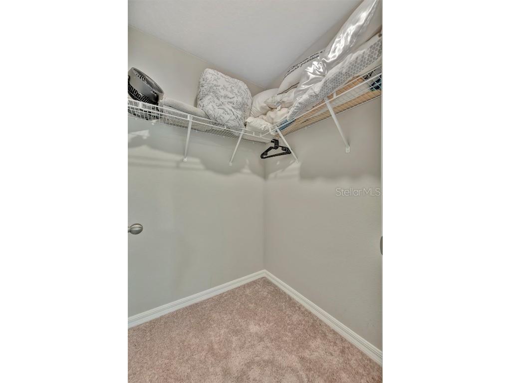 12950 Pasture Woods Place Lithia FL 33547 TB8437975 image42