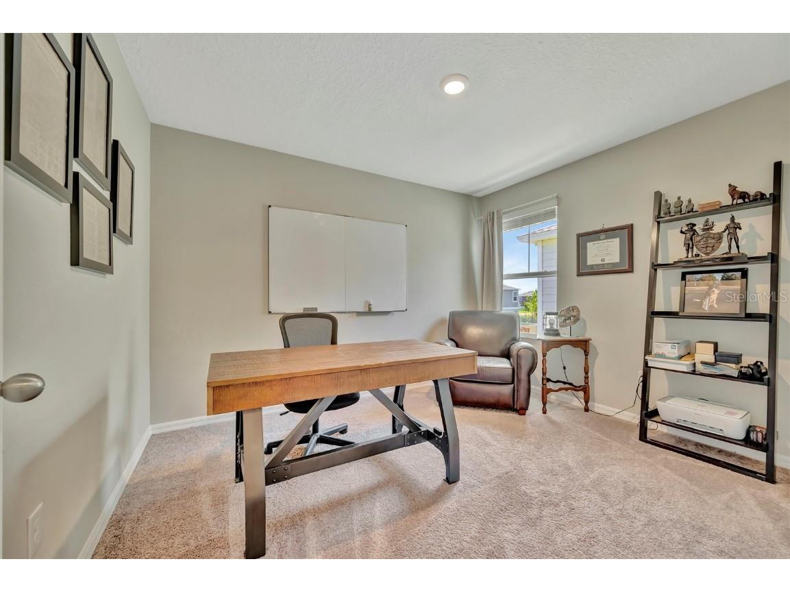 12950 Pasture Woods Place Lithia FL 33547 TB8437975 image43