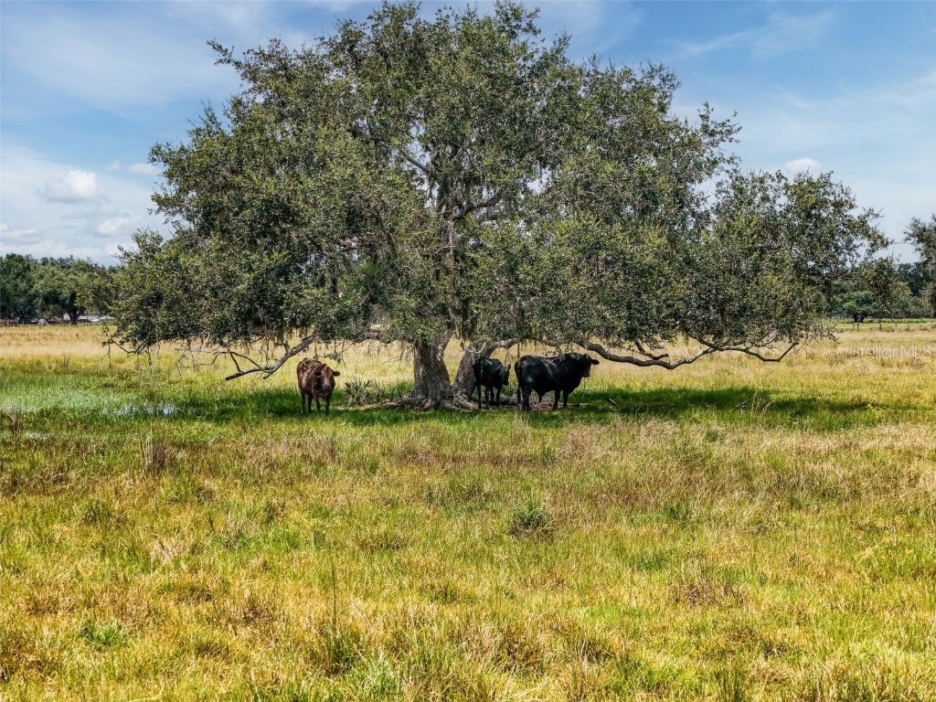 12950 River Road Myakka City FL 34251 A4660831 image17