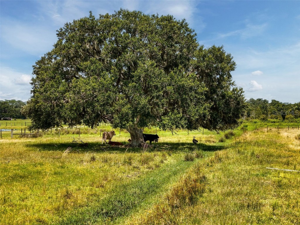 12950 River Road Myakka City FL 34251 A4660831 image25