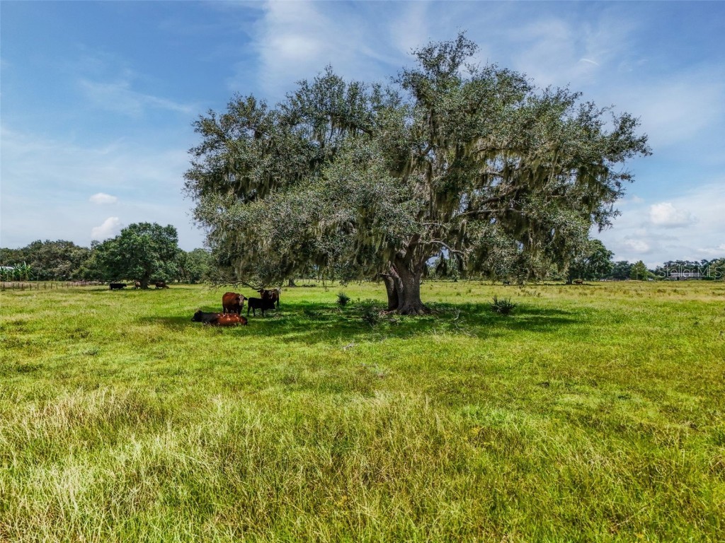 12950 River Road Myakka City FL 34251 A4660831 image26