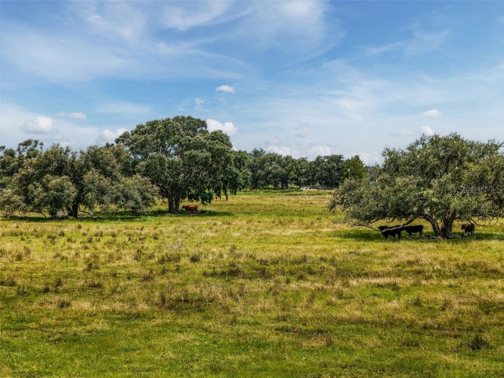 12950 River Road Myakka City FL 34251 A4660831 image28