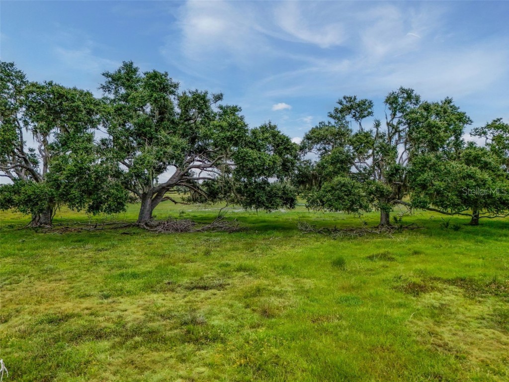 12950 River Road Myakka City FL 34251 A4660831 image29