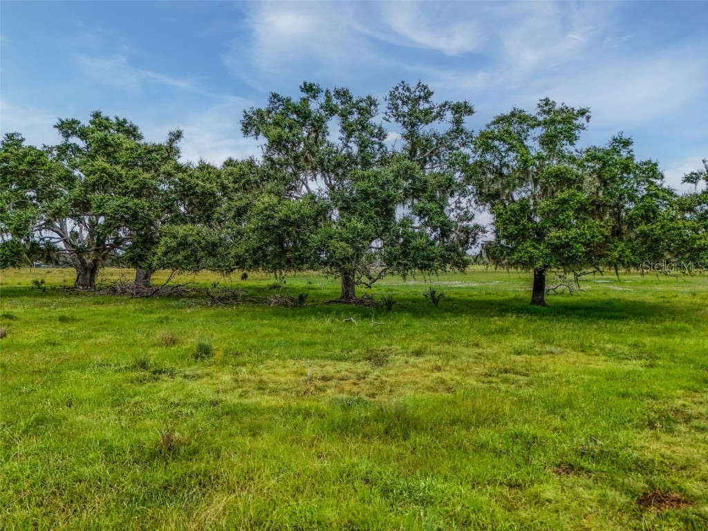 12950 River Road Myakka City FL 34251 A4660831 image30