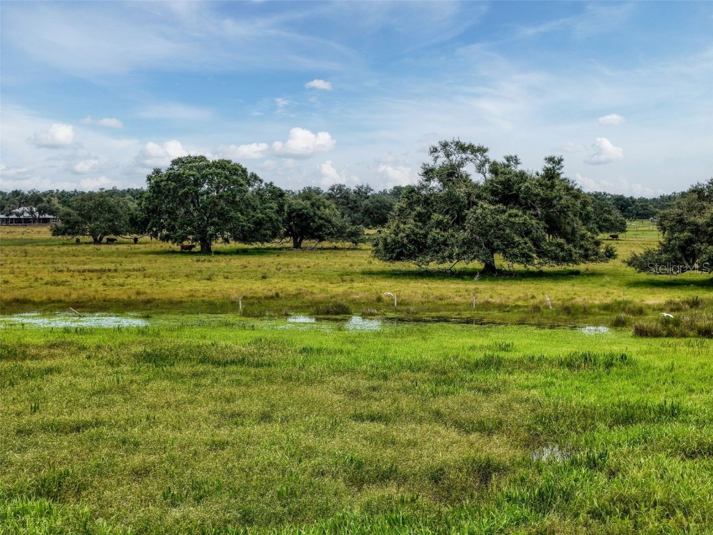 12950 River Road Myakka City FL 34251 A4660831 image34