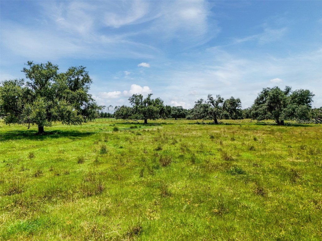 12950 River Road Myakka City FL 34251 A4663153 image11