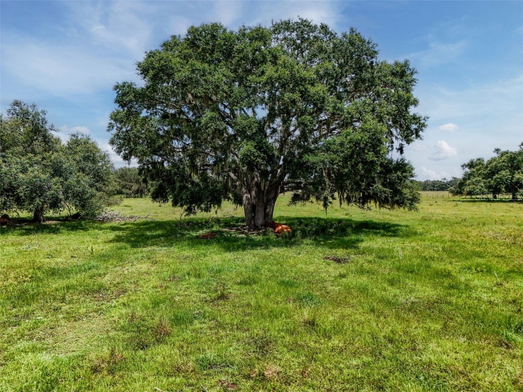 12950 River Road Myakka City FL 34251 A4663153 image14