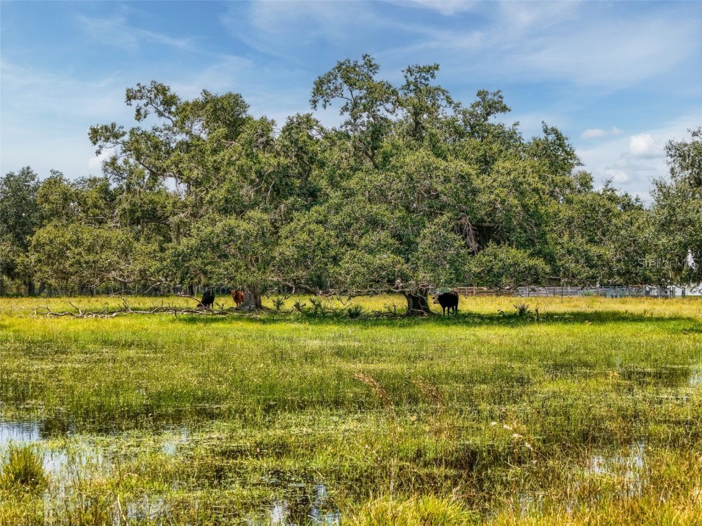 12950 River Road Myakka City FL 34251 A4663153 image17