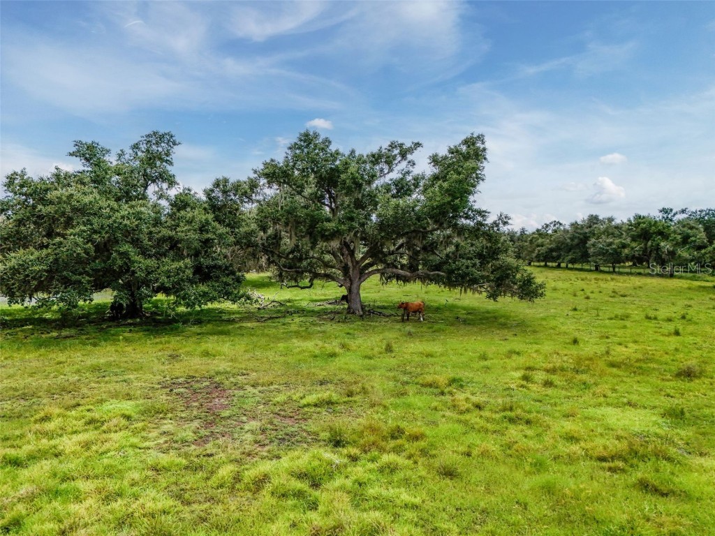 12950 River Road Myakka City FL 34251 A4663153 image18