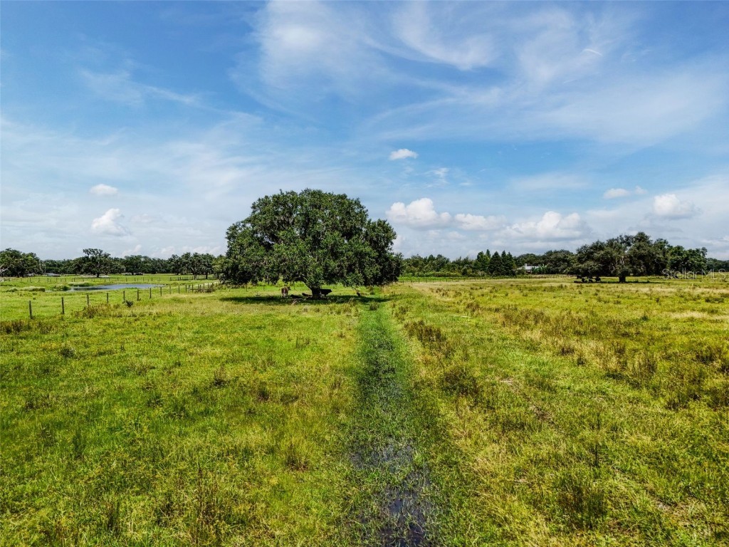 12950 River Road Myakka City FL 34251 A4663153 image20