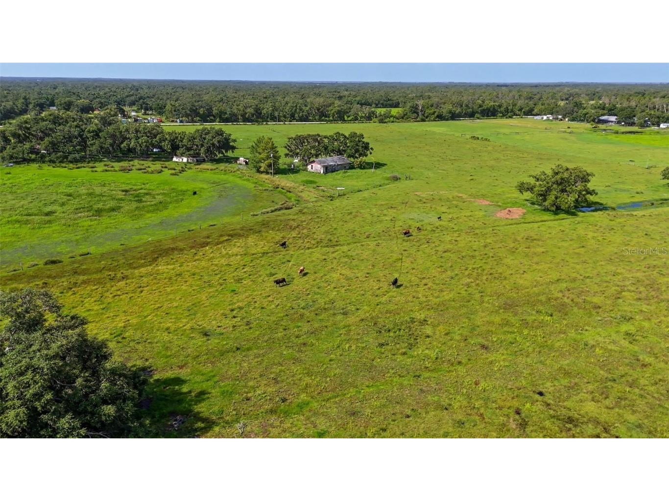 12950 River Road Myakka City FL 34251 A4663153 image31