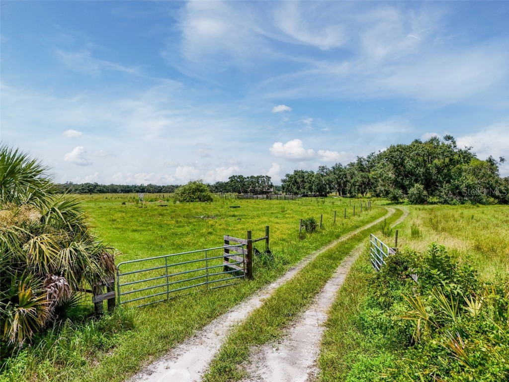 12950 River Road Myakka City FL 34251 A4663153 image5