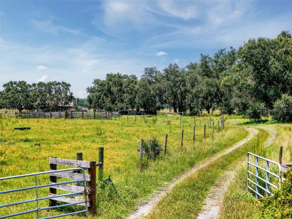 12950 River Road Myakka City FL 34251 A4663153 image6