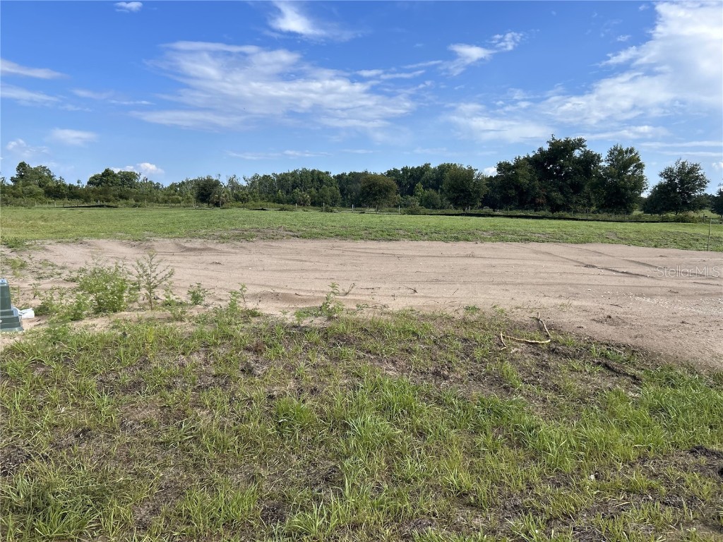 12950 Stillwater Cove Drive Astatula FL 34705 - LITTLE LAKE HARRIS O6313231 image2