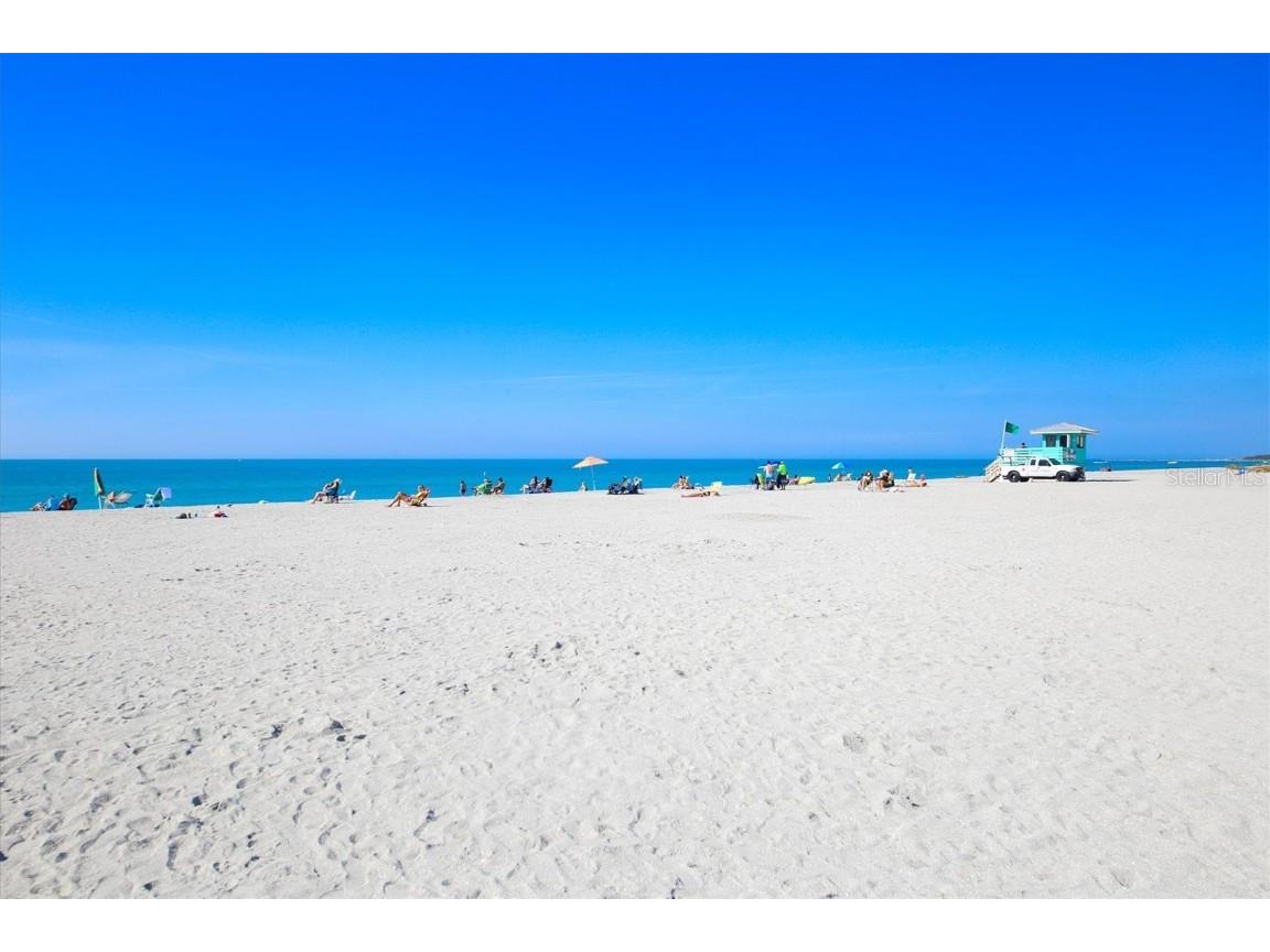 12950 Tigers Eye Drive Venice FL 34292 N6140419 image44