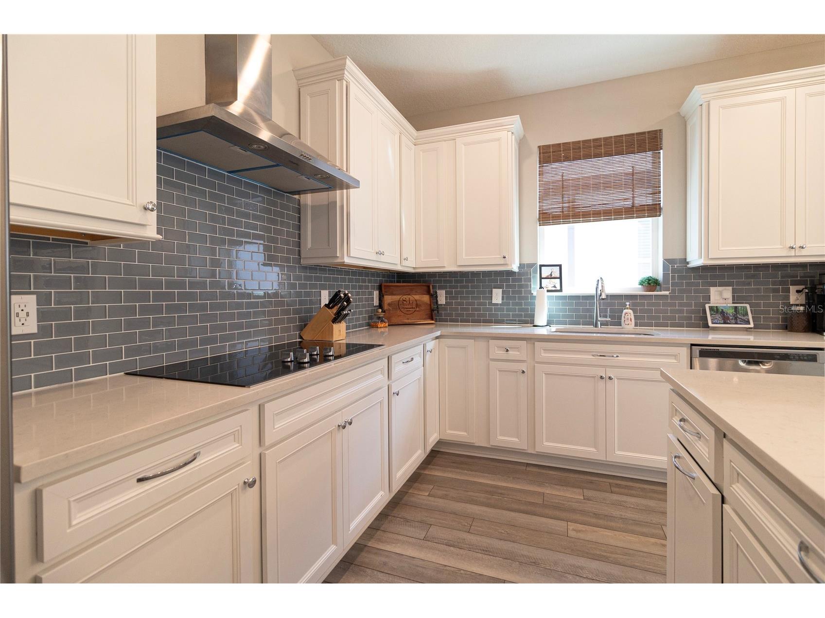 12951 Brookside Moss Drive Riverview FL 33579 TB8499779 image4