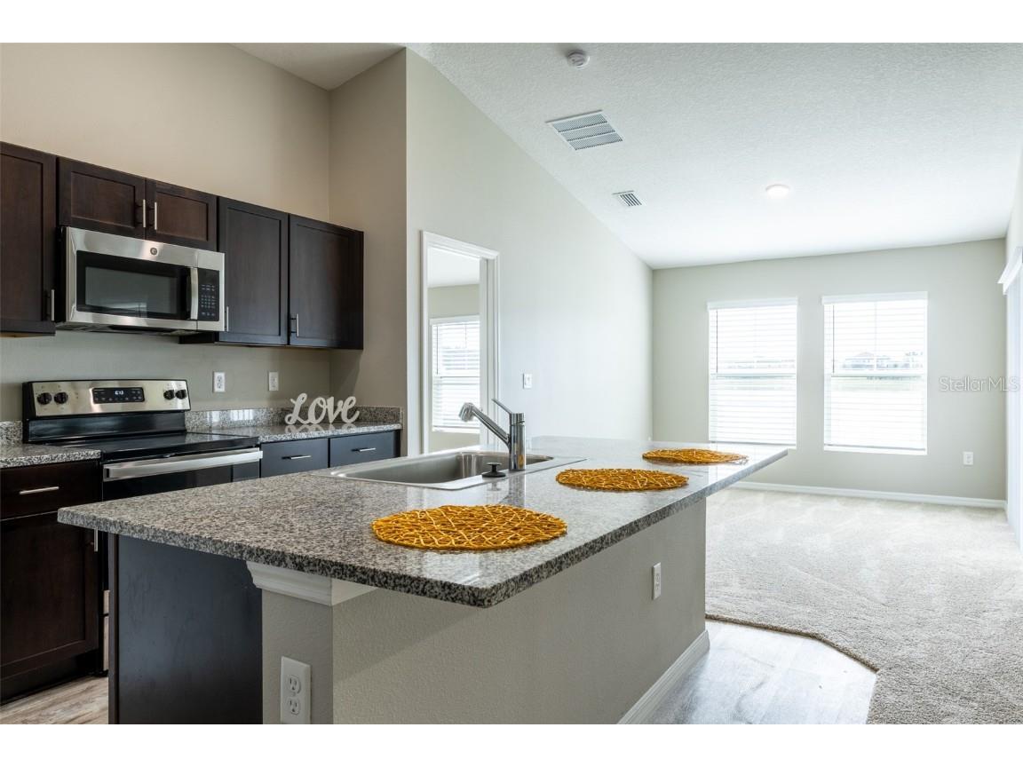 12951 Twin Bridges Drive Riverview FL 33579 TB8456324 image4