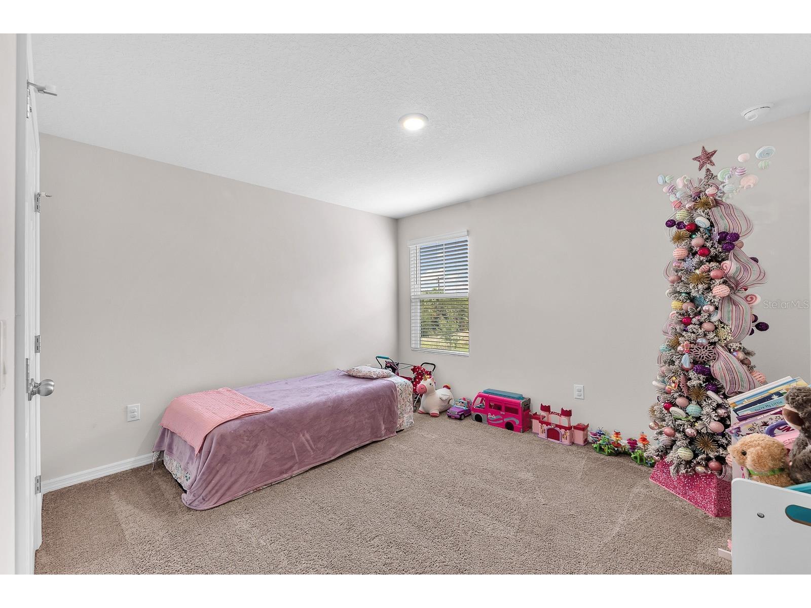 12952 Wellspring Drive Lithia FL 33547 TB8501439 image28