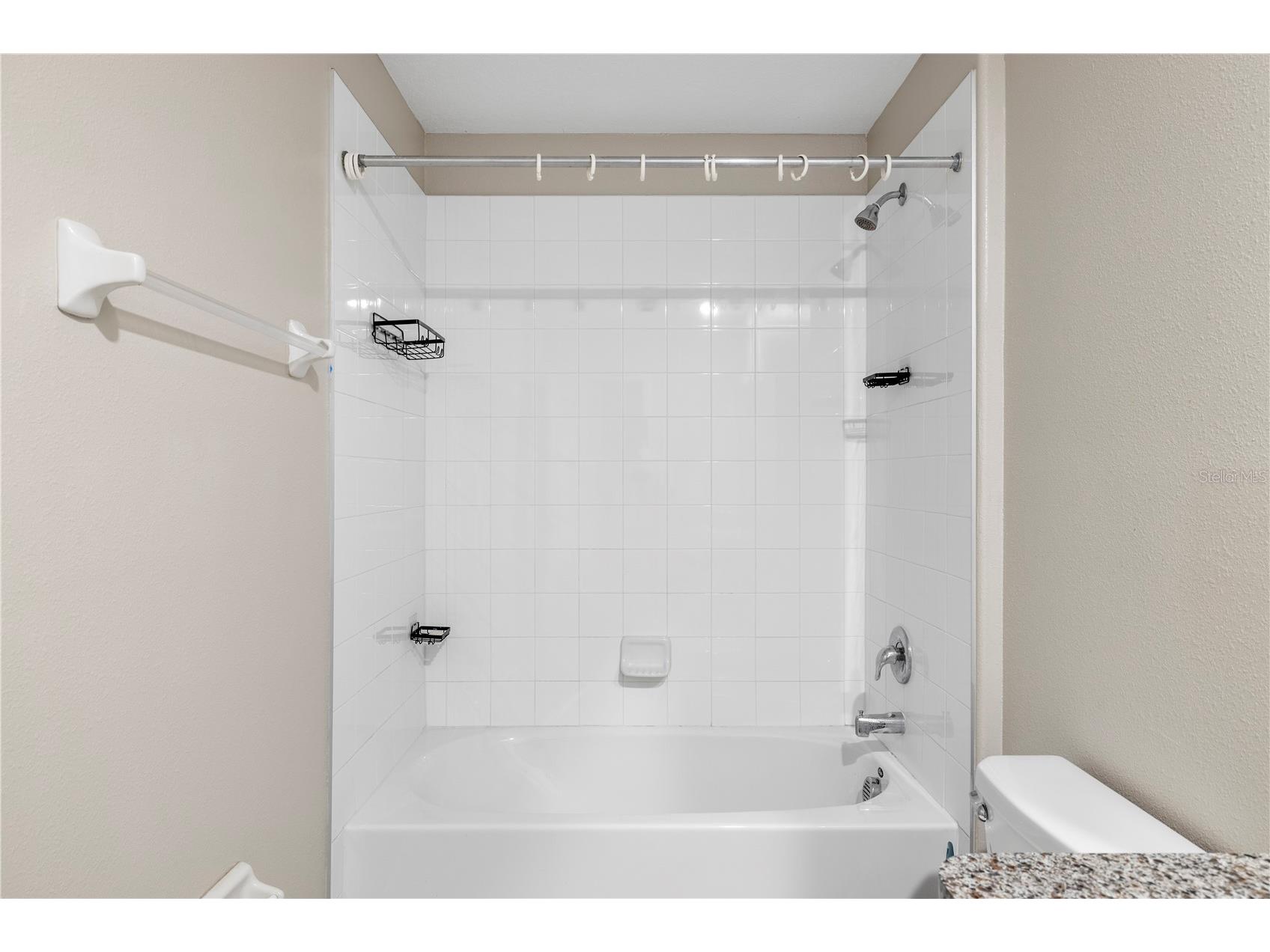 12952 Wildflower Meadow Drive Riverview FL 33579 TB8498001 image38
