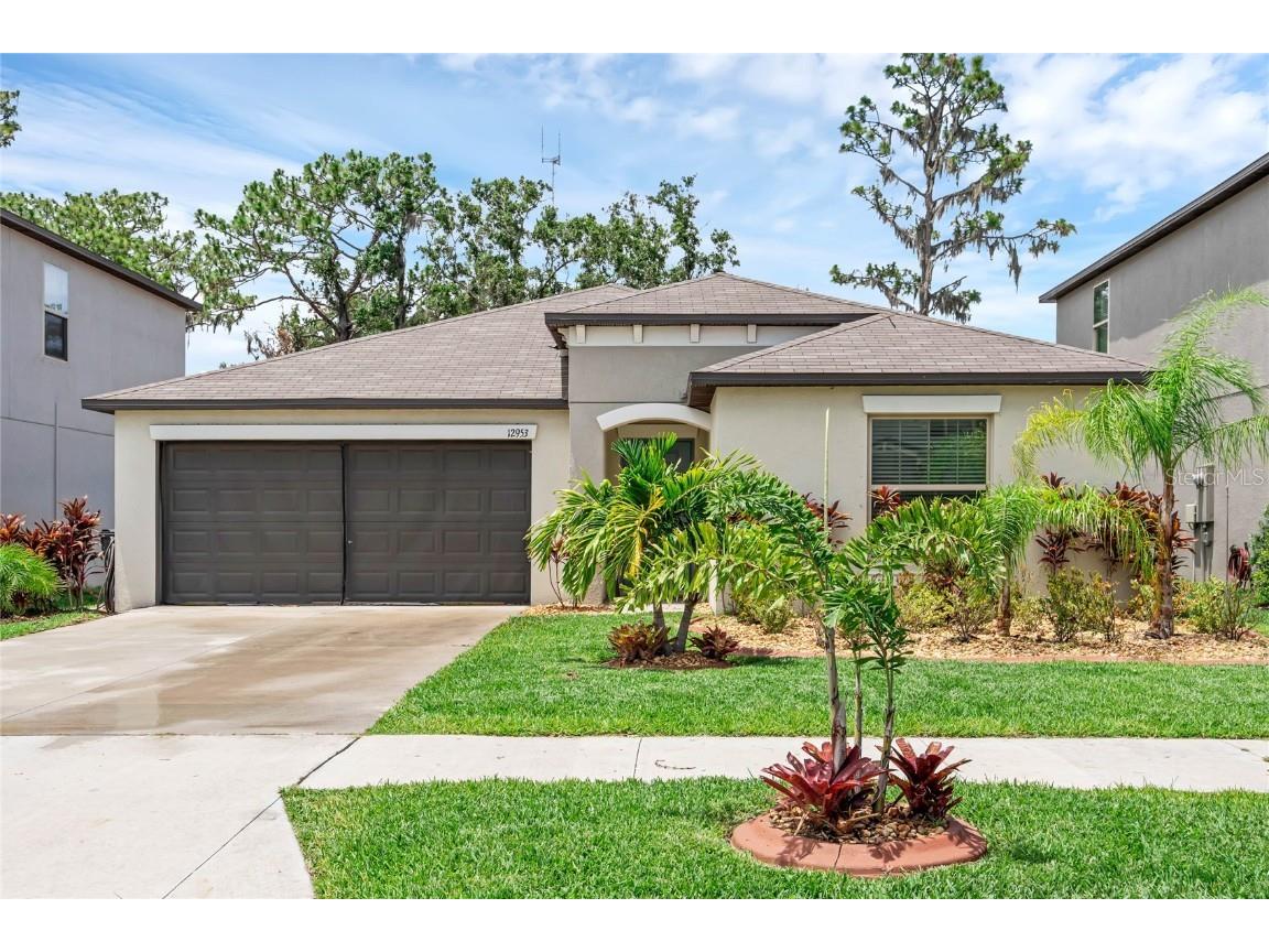 12953 Wildflower Meadow Drive Riverview FL 33579 O6217525 image1