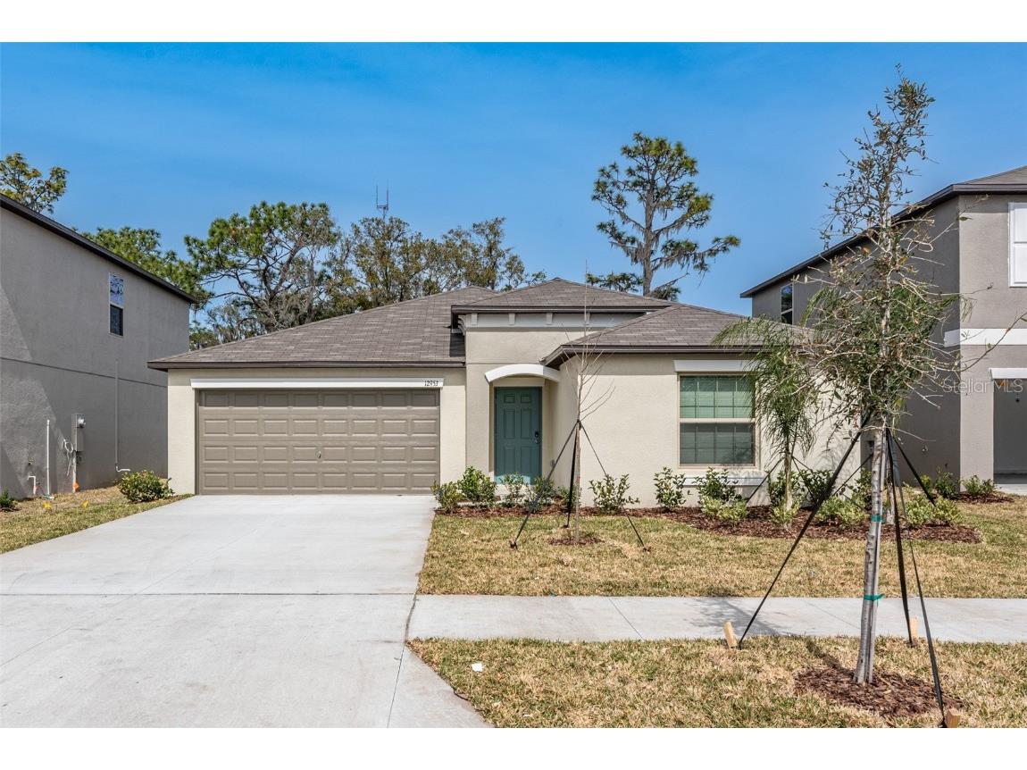 12953 Wildflower Meadow Drive Riverview FL 33579 T3355423 image1