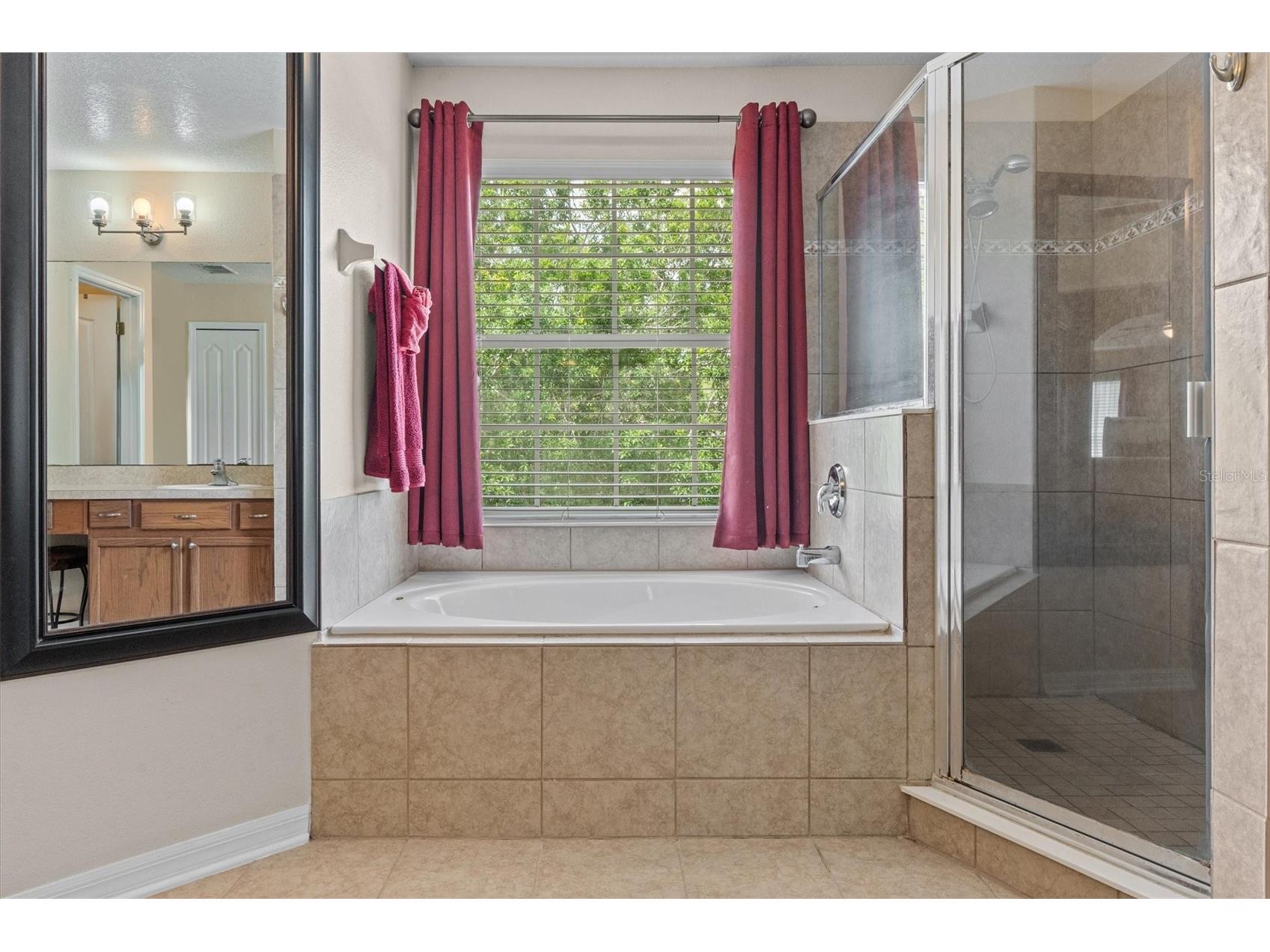 12955 Moss Park Ridge Drive Orlando FL 32832 O6399409 image34