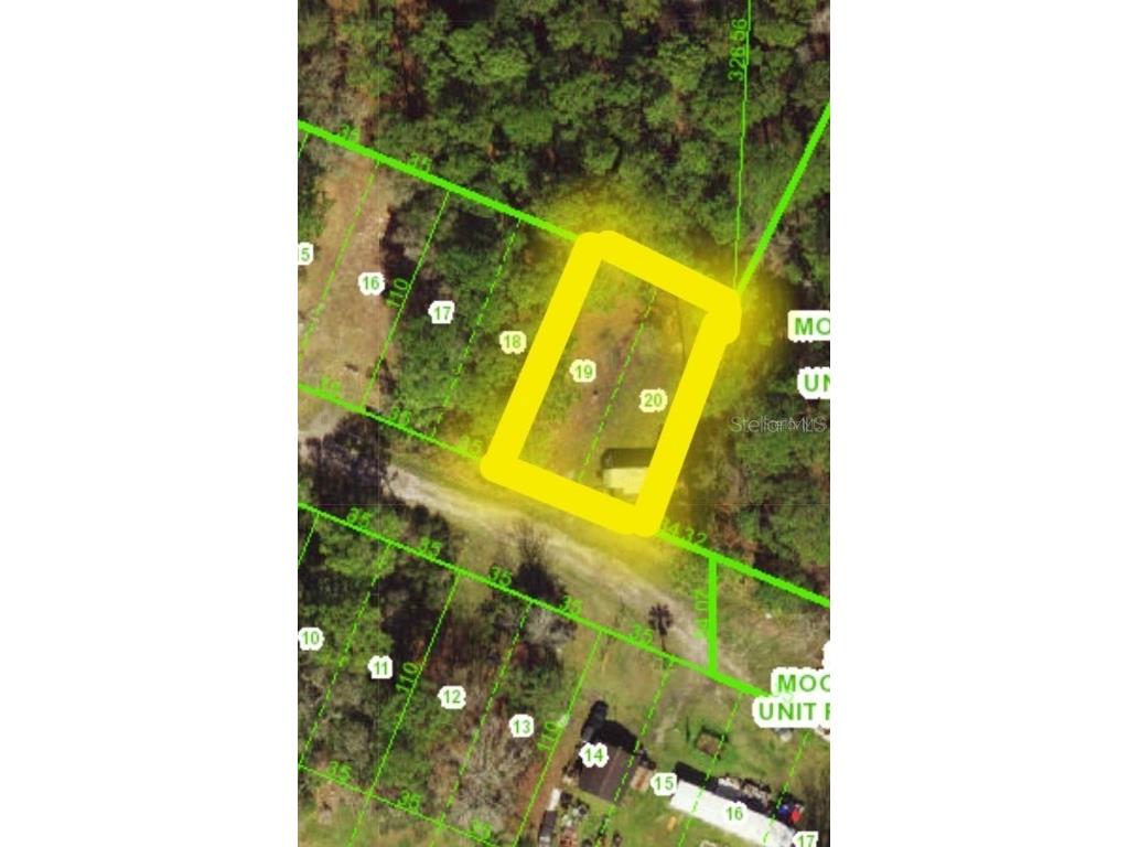 12955 Rio Vista Avenue New Port Richey FL 34654 C7517116 image4