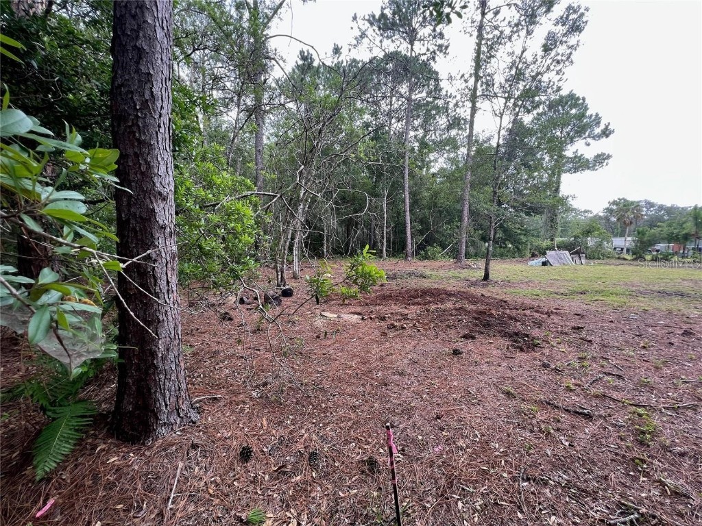 12955 Rio Vista Avenue New Port Richey FL 34654 C7517116 image5