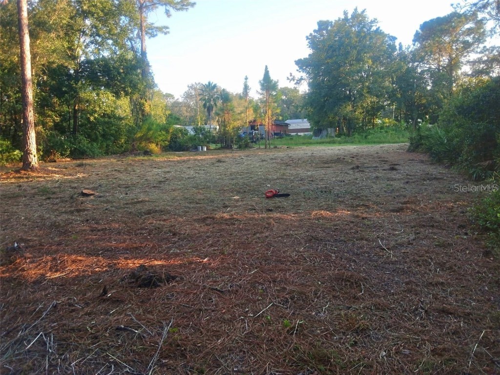 12955 Rio Vista Avenue New Port Richey FL 34654 C7517116 image6