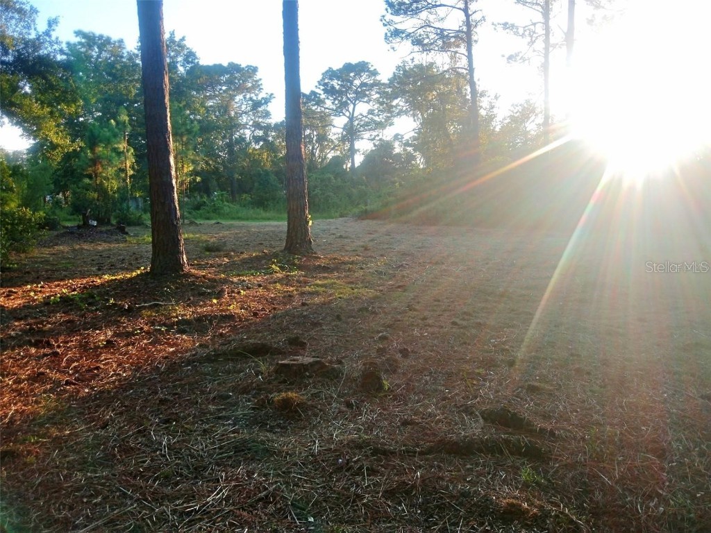 12955 Rio Vista Avenue New Port Richey FL 34654 C7517116 image7