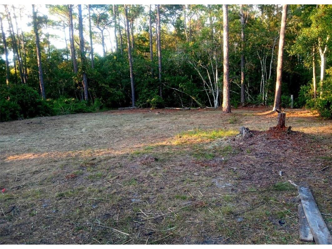 12955 Rio Vista Avenue New Port Richey FL 34654 C7517116 image8