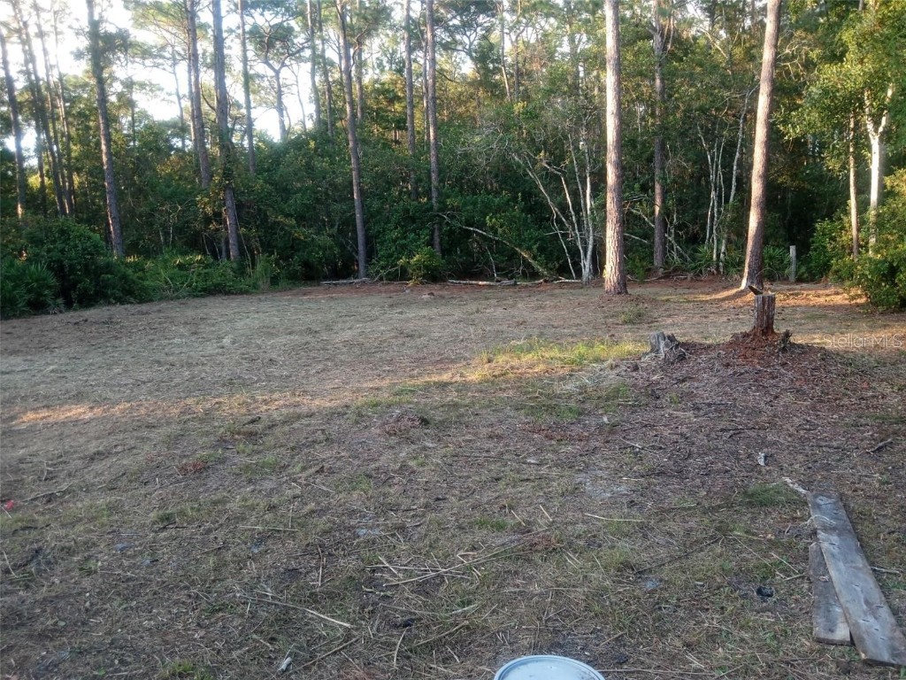 12955 Rio Vista Avenue New Port Richey FL 34654 C7517116 image9