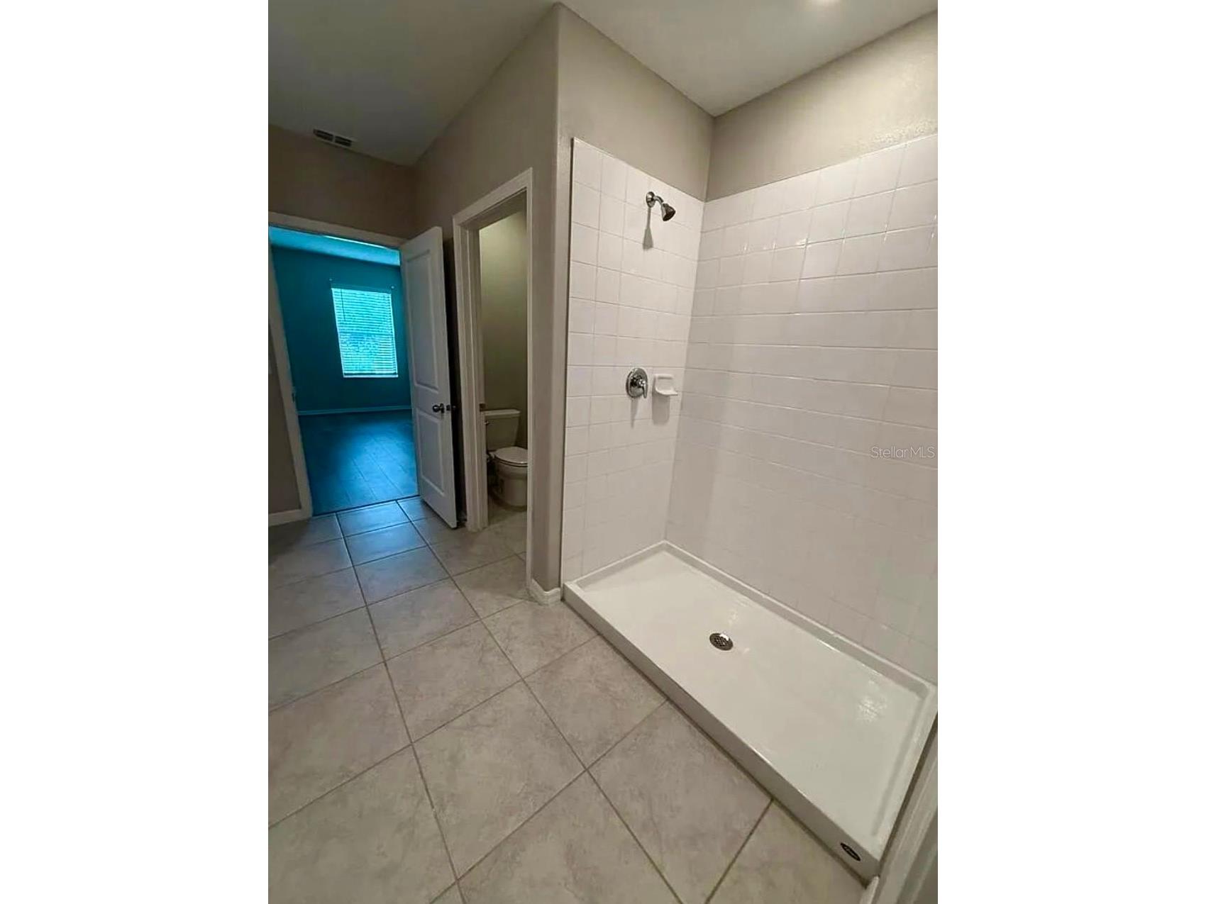 12957 Wildflower Meadow Drive Riverview FL 33579 TB8477666 image11