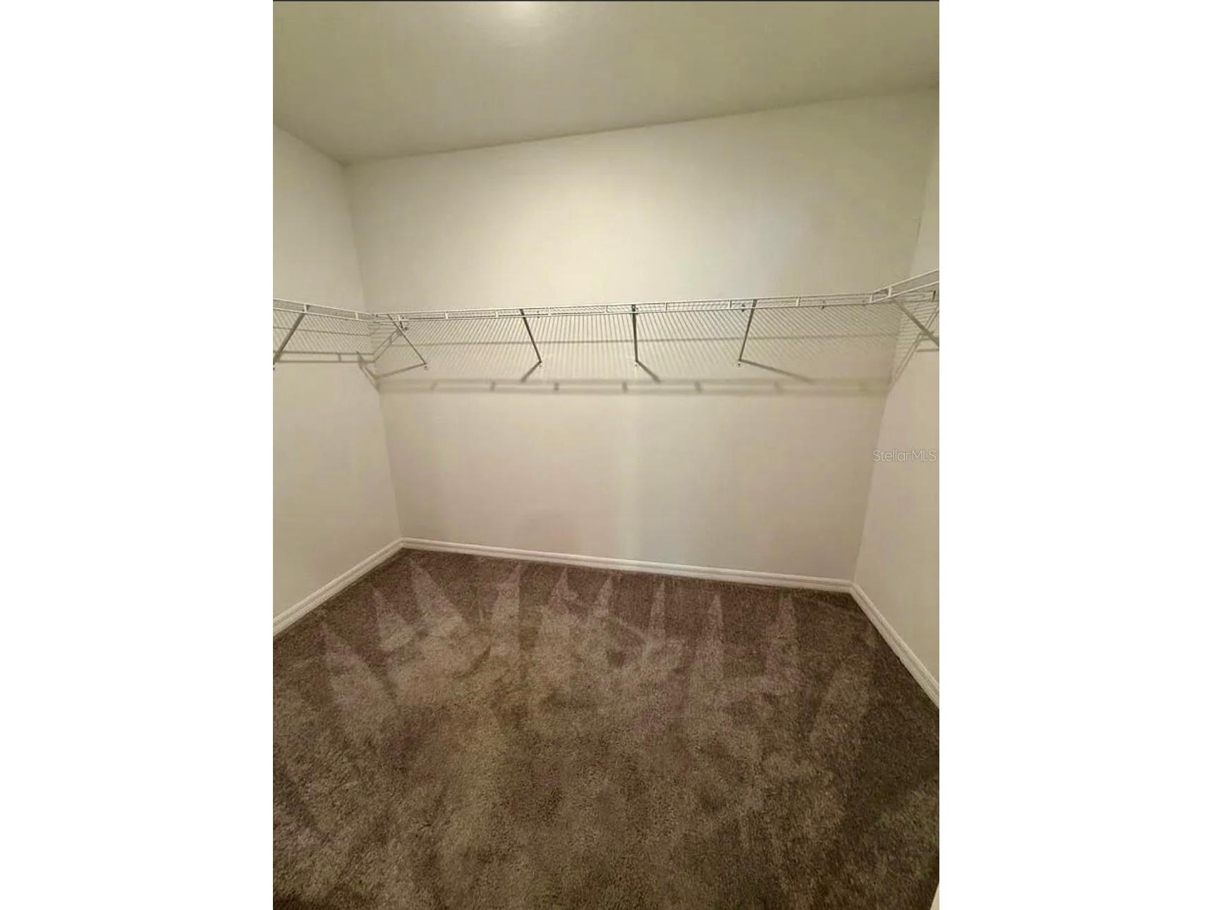 12957 Wildflower Meadow Drive Riverview FL 33579 TB8477666 image12