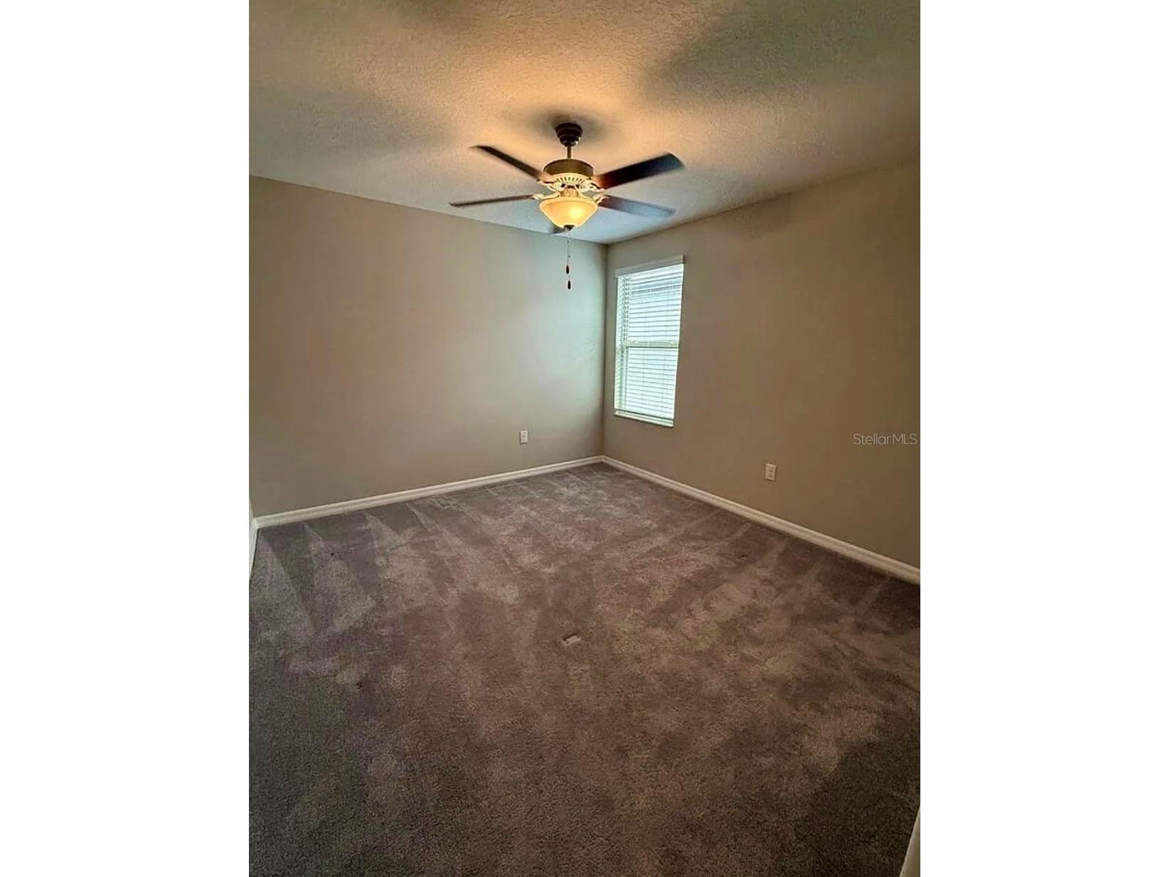 12957 Wildflower Meadow Drive Riverview FL 33579 TB8477666 image14