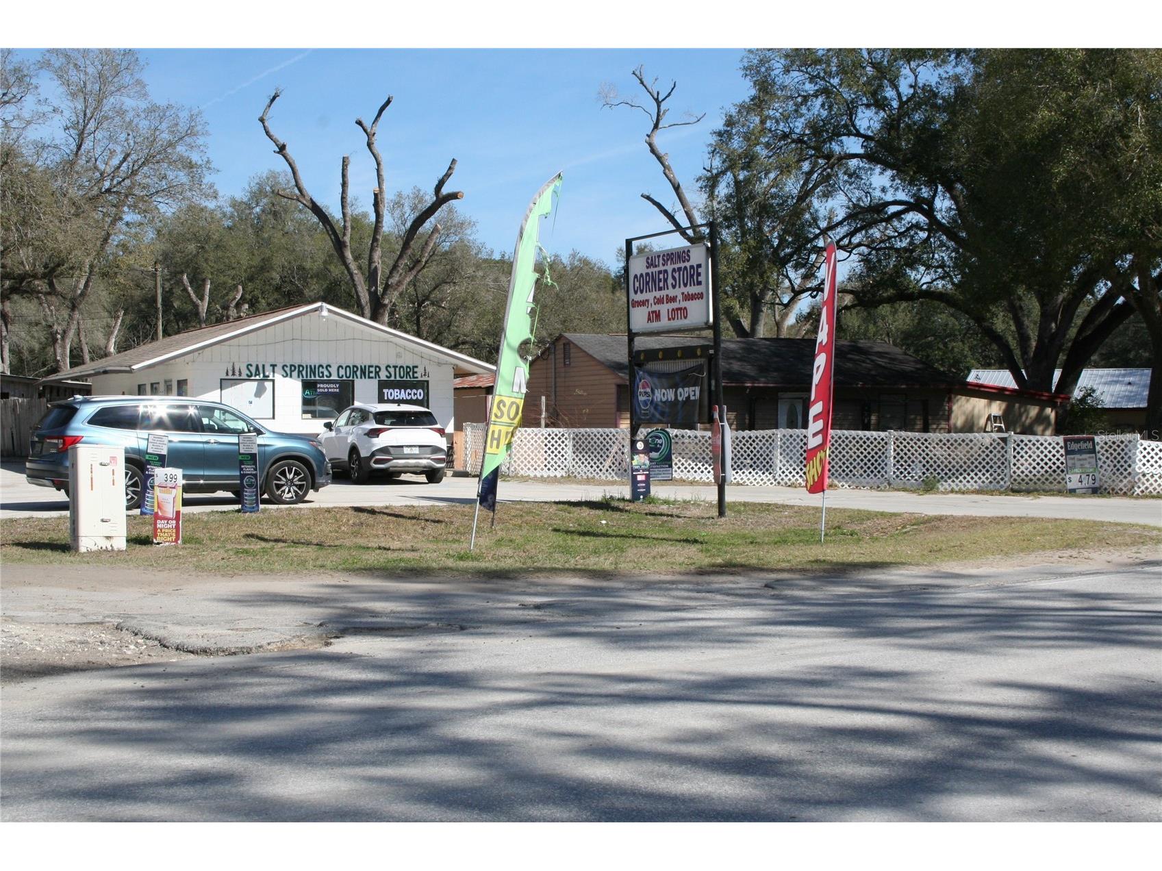 12959 NE 250th Court Salt Springs FL 32134 OM719772 image1