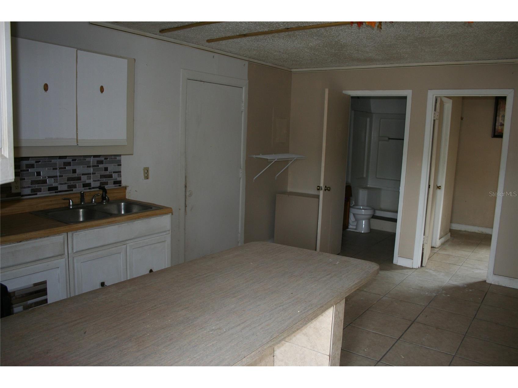 12959 NE 250th Court Salt Springs FL 32134 OM719772 image12