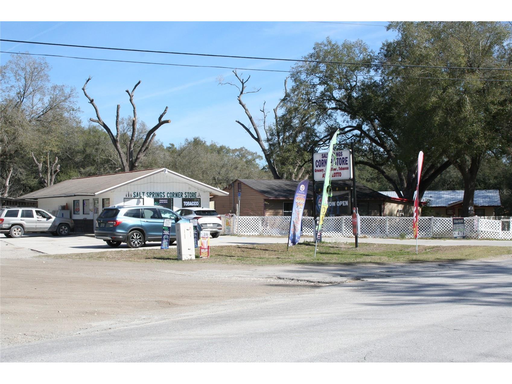 12959 NE 250th Court Salt Springs FL 32134 OM719772 image5