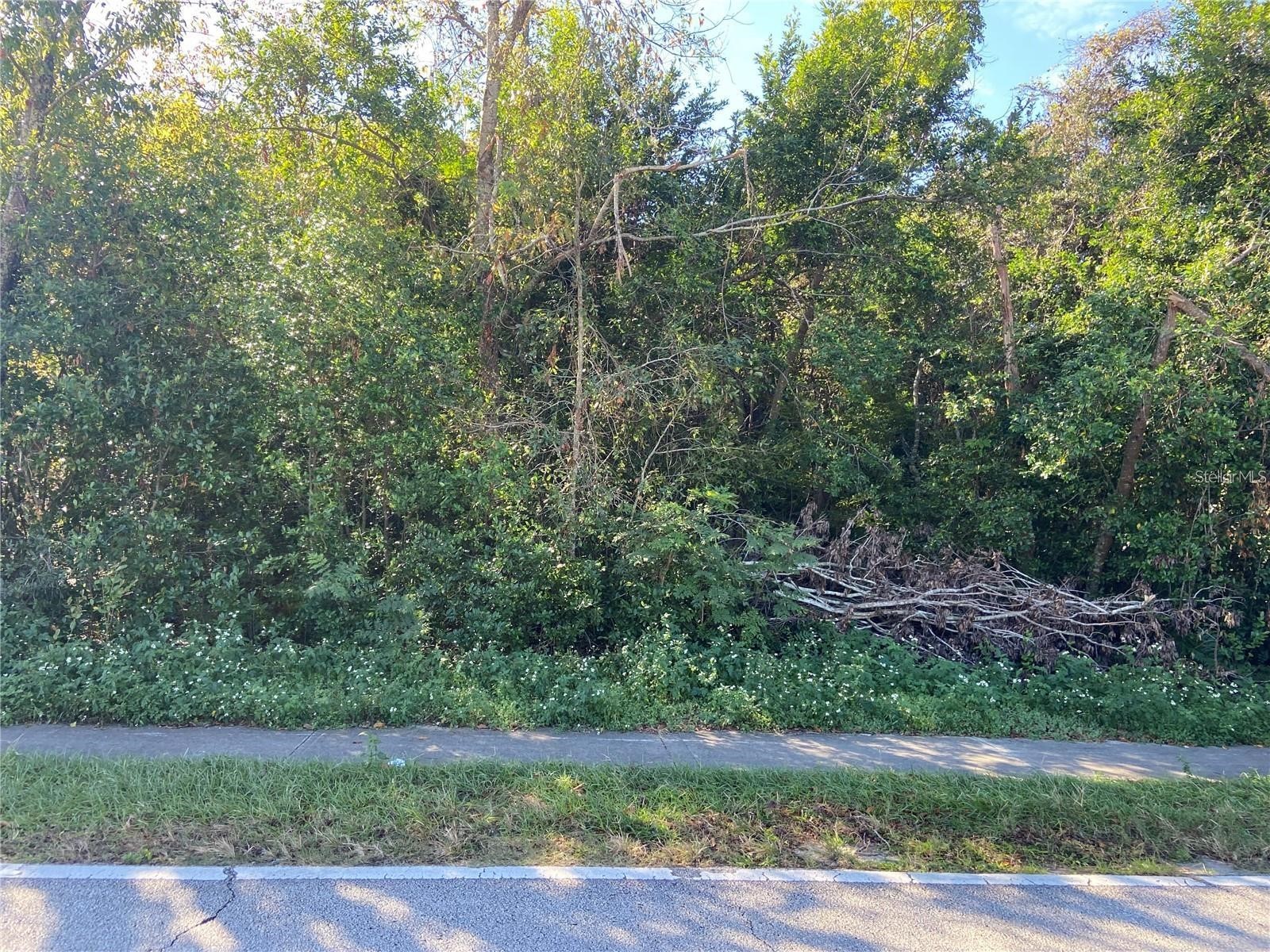 1296 S Seagate Drive Deltona FL 32725 V4946428 image1