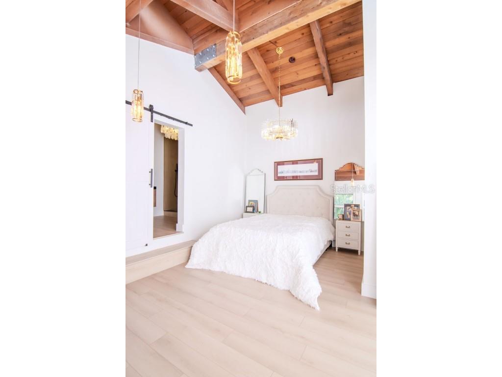 1296 Weybridge Lane Dunedin FL 34698 TB8445062 image31