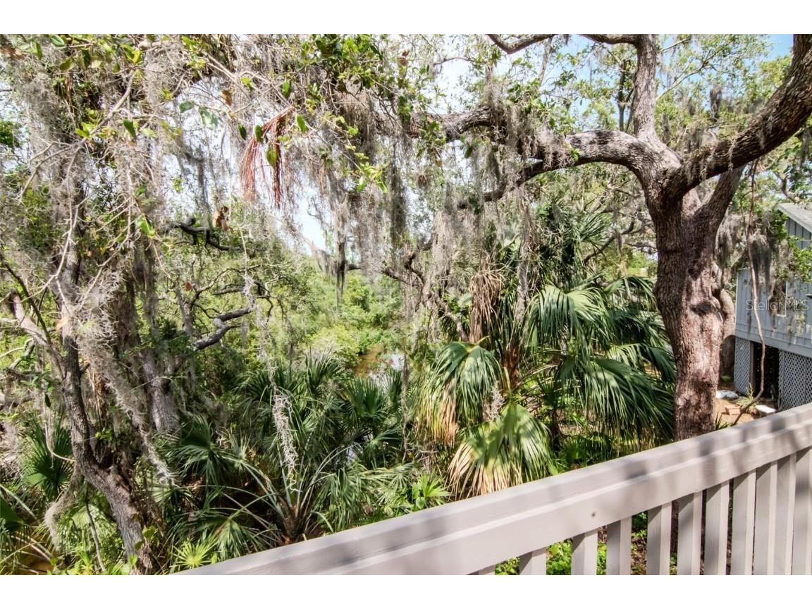 1296 Weybridge Lane Dunedin FL 34698 TB8445062 image35