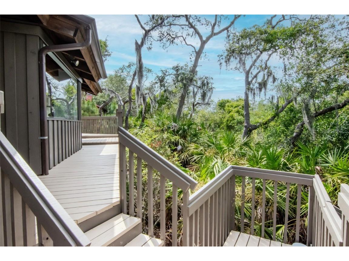 1296 Weybridge Lane Dunedin FL 34698 TB8445062 image40